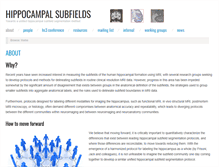 Tablet Screenshot of hippocampalsubfields.com